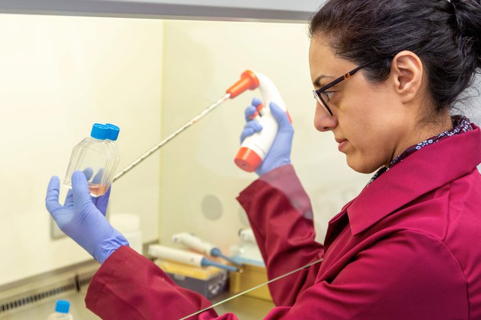 A female blood cancer researcher stands in a lab using a large pipette whilst looking at a sample in a small bottles.