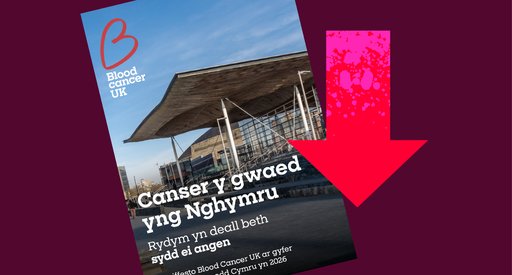 policy elections graphic