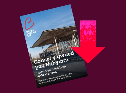 policy elections graphic