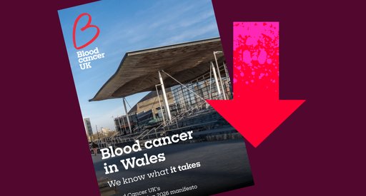 Policy team election webpages Welsh manifesto download graphic