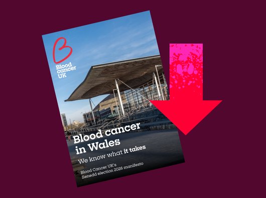 Policy team election webpages Welsh manifesto download graphic