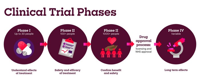 A horizontal infographic illustrating the stages of clinical research. Four circular panels connected by arrows show: Phase I with up to 30 participants to understand treatment effects; Phase II with 100+ participants to assess safety and efficacy; Phase III with 1,000+ participants to confirm benefit and safety; then a drug approval process involving licensing and NHS approval; and Phase IV with a variable number of participants to monitor long-term effects. Icons include pills, a clipboard, people with a heart, and a microscope. The design uses dark purple and pink colours on a light grey background.