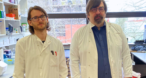 Professor Claus Nerlov with his PhD student, stood in the lab wearing white lab coats.