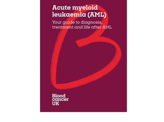 Acute myeloid leukaemia