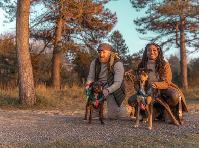 Couple holding their dogs in woodland area