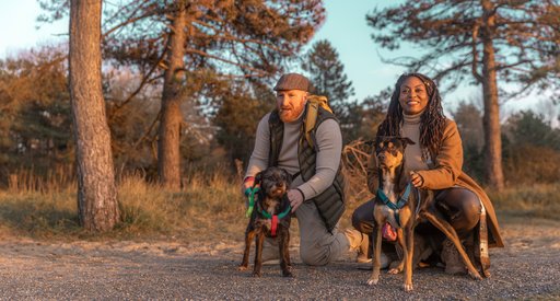 A couple posing with their dogs in woodland area