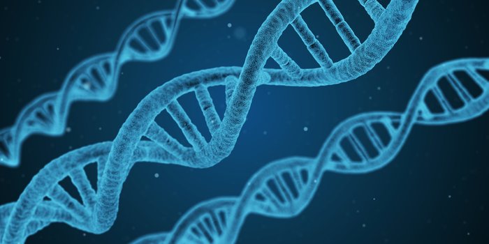 A digital illustration of a blue DNA helix.