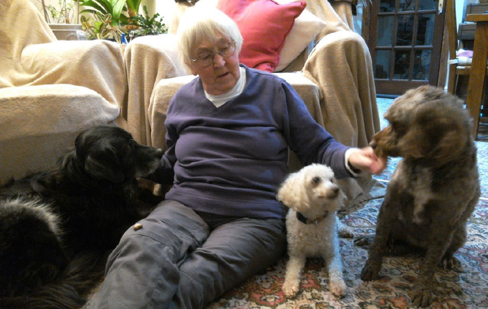 Pat, who lives with Classical Hodgkin lymphoma, sits on the floor in a living room in front of a sofa next to three dogs.