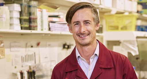 Dr Paul Maciocia