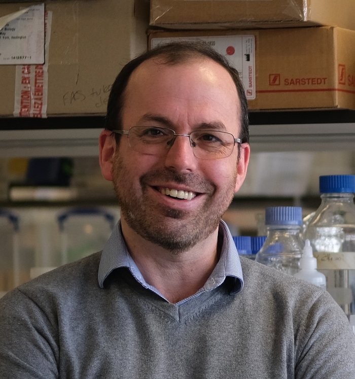 A photo of Professor David Kent at the University of York