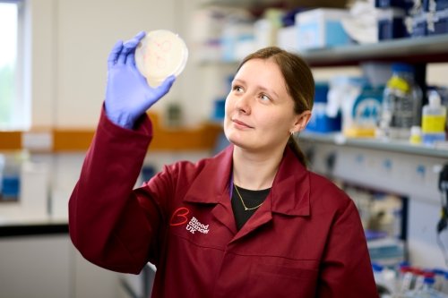 A researcher in a lab wearing a Blood Cancer UK lab coat, looking into a petri dish