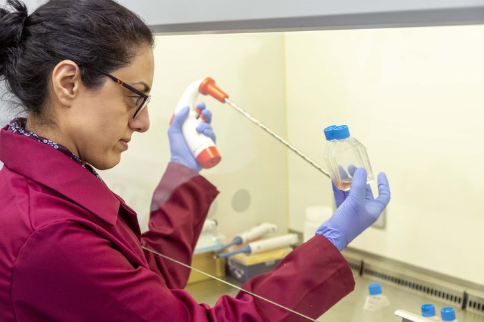 Blood Cancer UK funded researcher Dr Farhat Latif Khanim from the University of Birmingham in a laboratory holding a pipette and sample jars.
