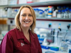 Michelle, conducting research at Blood Cancer UK.