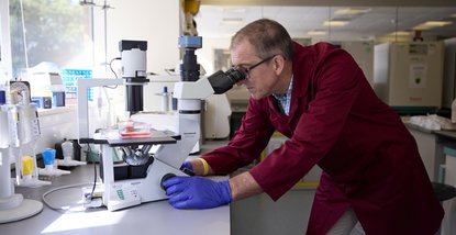 A researcher in a Blood Cancer UK funded lab, looking through a microscope.