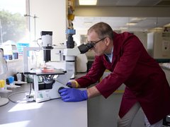 A researcher in a Blood Cancer UK funded lab, looking through a microscope.