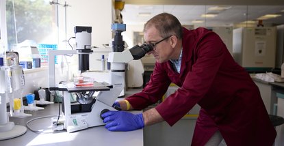 A researcher in a Blood Cancer UK funded lab, looking through a microscope.