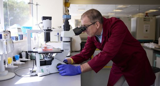 A researcher in a Blood Cancer UK funded lab, looking through a microscope.