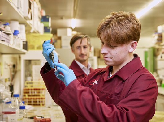 A researcher in a lab, conducting an experiment using a pipette.
