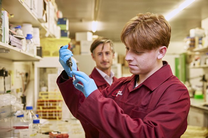A researcher in a lab, conducting an experiment using a pipette.