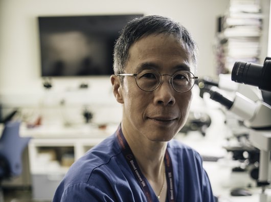 Dr Dang lab
