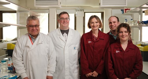 Four researchers in a lab in Kings College London. They are wearing burgundy Blood Cancer UK lab coats and smiling.
