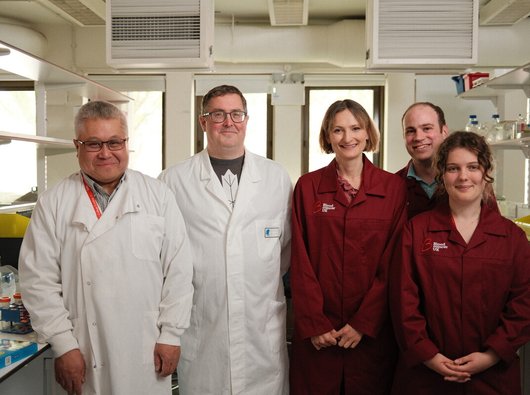 Four researchers in a lab in Kings College London. They are wearing burgundy Blood Cancer UK lab coats and smiling.