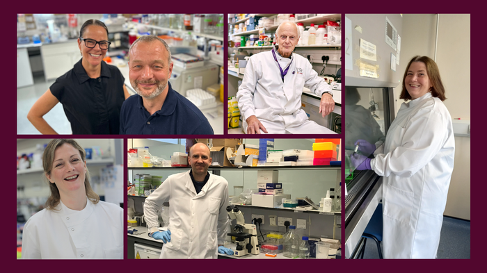 A collage of images of our 5 new researchers working in the lab