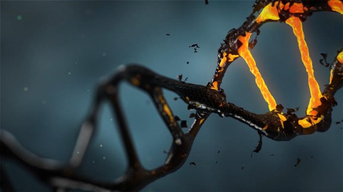 A very close up image of a DNA helix.