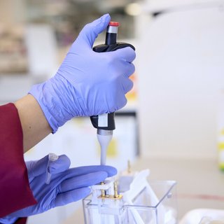 Close up of a researchers hands, working in a laboratory. The person is wearing blue protective gloves and a Blood Cancer UK lab coat, and is using some laboratory equipment.