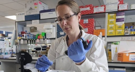 Scientist in a laboratory wearing gloves and protective clothing uses a pipette to transfer liquid into sample tubes, with lab equipment and supplies visible in the background.