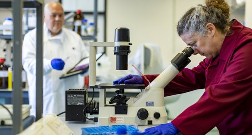 A woman in a laboratory looking at a sample through a microscope
