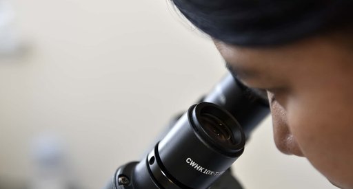 A close up of a researcher looking through the lens of a microscope