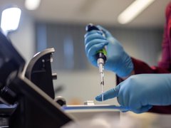 Laboratory image in which a pair of gloved hands use a syringe to inject liquid onto a microscope.