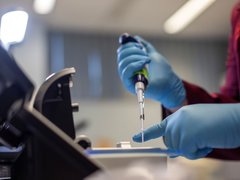Laboratory image in which a pair of gloved hands use a syringe to inject liquid onto a microscope.