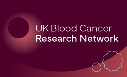 This is a logo for the Blood Cancer Research Network.