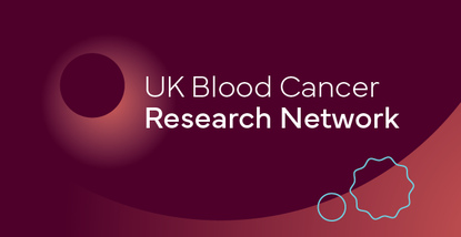 This is a logo for the Blood Cancer Research Network.