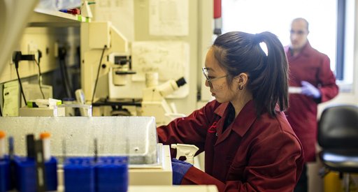A researcher in a lab, doing some close work at a desk.
