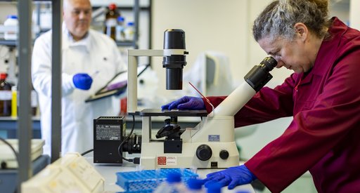 Scientist working on lab.